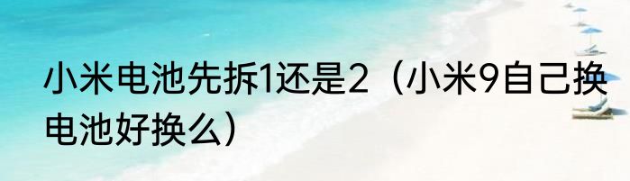 小米电池先拆1还是2（小米9自己换电池好换么）