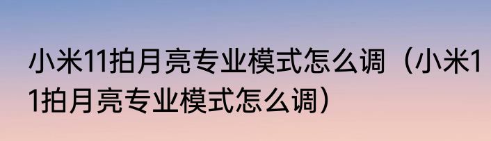 小米11拍月亮专业模式怎么调（小米11拍月亮专业模式怎么调）