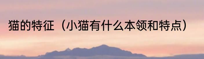 猫的特征（小猫有什么本领和特点）