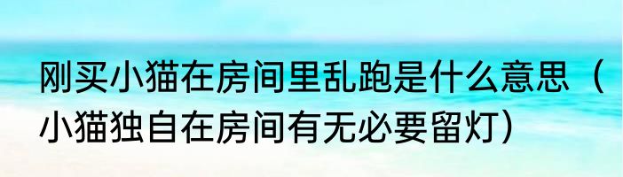 刚买小猫在房间里乱跑是什么意思（小猫独自在房间有无必要留灯）