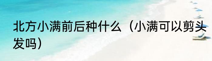 北方小满前后种什么（小满可以剪头发吗）