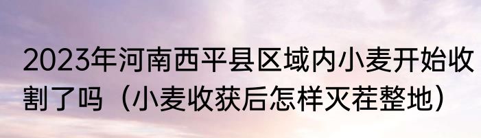 2023年河南西平县区域内小麦开始收割了吗（小麦收获后怎样灭茬整地）