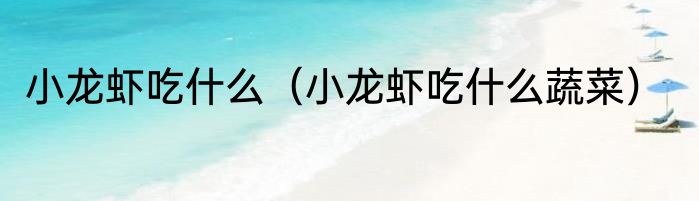 小龙虾吃什么（小龙虾吃什么蔬菜）