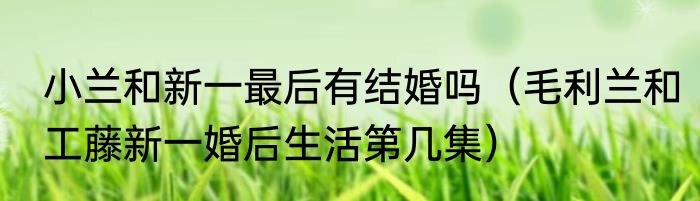 小兰和新一最后有结婚吗（毛利兰和工藤新一婚后生活第几集）