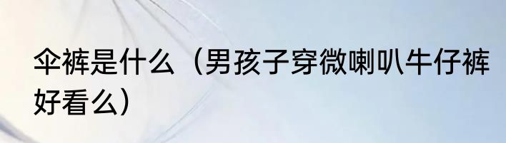 伞裤是什么（男孩子穿微喇叭牛仔裤好看么）