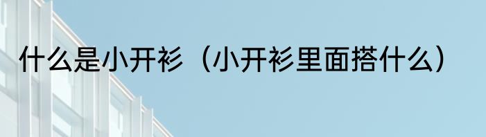什么是小开衫（小开衫里面搭什么）