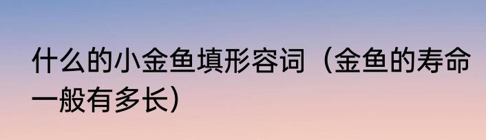 什么的小金鱼填形容词（金鱼的寿命一般有多长）