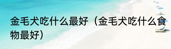 金毛犬吃什么最好（金毛犬吃什么食物最好）
