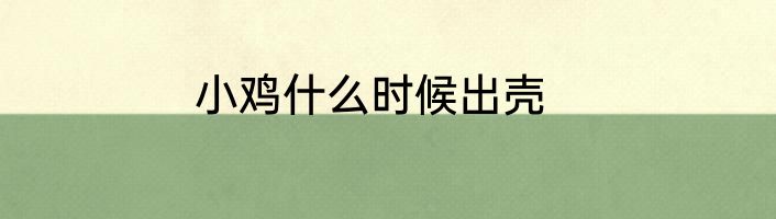 小鸡什么时候出壳