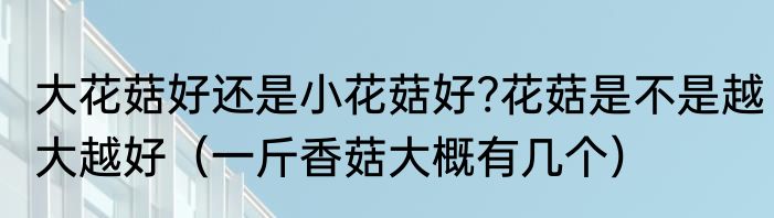 大花菇好还是小花菇好?花菇是不是越大越好（一斤香菇大概有几个）