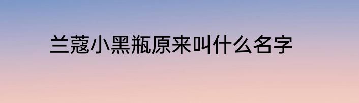 兰蔻小黑瓶原来叫什么名字