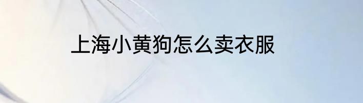 上海小黄狗怎么卖衣服