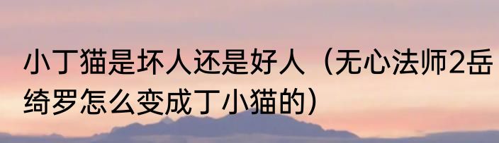 小丁猫是坏人还是好人（无心法师2岳绮罗怎么变成丁小猫的）