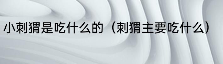 小刺猬是吃什么的（刺猬主要吃什么）