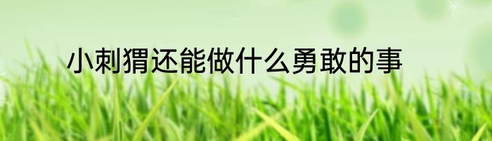 小刺猬还能做什么勇敢的事