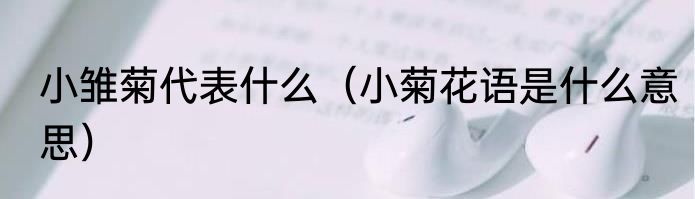 小雏菊代表什么（小菊花语是什么意思）