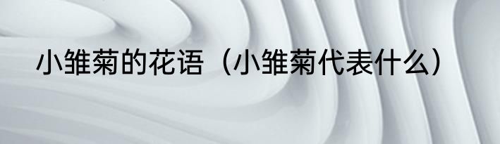 小雏菊的花语（小雏菊代表什么）