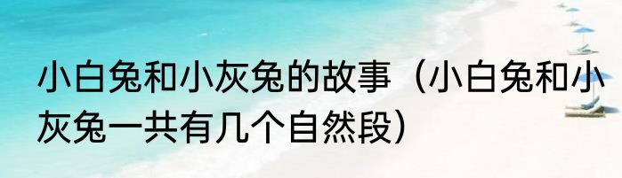 小白兔和小灰兔的故事（小白兔和小灰兔一共有几个自然段）