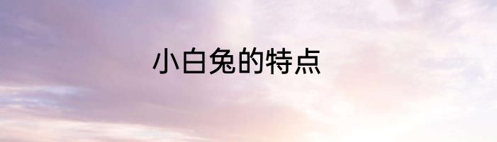 小白兔的特点