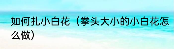 如何扎小白花（拳头大小的小白花怎么做）