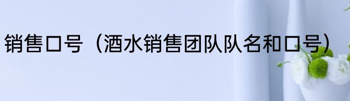 销售口号（酒水销售团队队名和口号）
