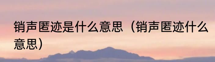 销声匿迹是什么意思（销声匿迹什么意思）