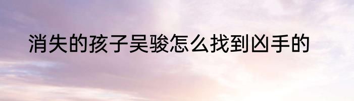 消失的孩子吴骏怎么找到凶手的