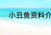 小丑鱼资料介绍（小丑鱼怎么养）