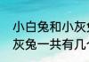 小白兔和小灰兔的故事（小白兔和小灰兔一共有几个自然段）