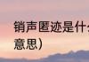 销声匿迹是什么意思（销声匿迹什么意思）