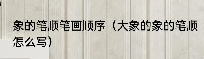 象的笔顺笔画顺序（大象的象的笔顺怎么写）