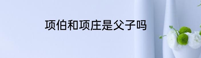 项伯和项庄是父子吗