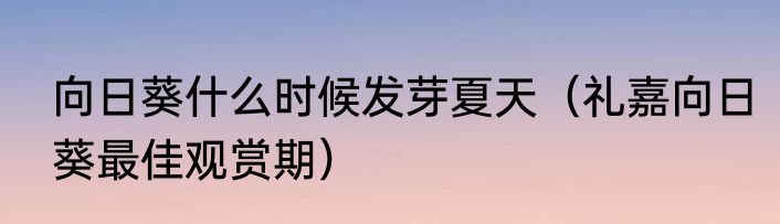 向日葵什么时候发芽夏天（礼嘉向日葵最佳观赏期）