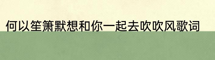 何以笙箫默想和你一起去吹吹风歌词