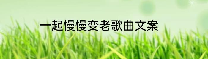一起慢慢变老歌曲文案