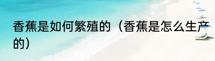 香蕉是如何繁殖的（香蕉是怎么生产的）