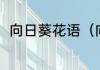 向日葵花语（向日葵的花语是什么）