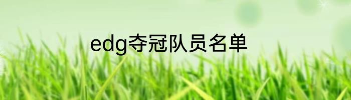 edg夺冠队员名单