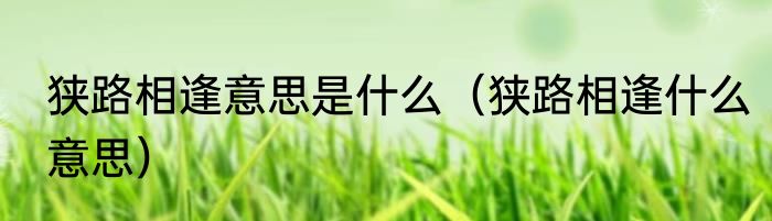 狭路相逢意思是什么（狭路相逢什么意思）