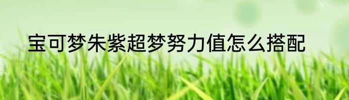 宝可梦朱紫超梦努力值怎么搭配