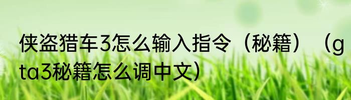 侠盗猎车3怎么输入指令（秘籍）（gta3秘籍怎么调中文）