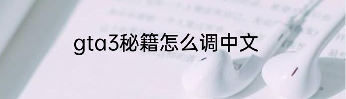 gta3秘籍怎么调中文