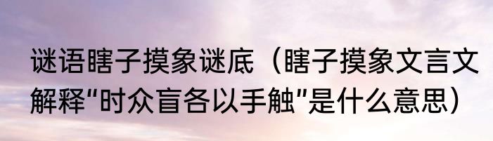 谜语瞎子摸象谜底（瞎子摸象文言文解释“时众盲各以手触”是什么意思）