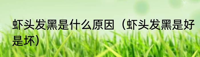 虾头发黑是什么原因（虾头发黑是好是坏）
