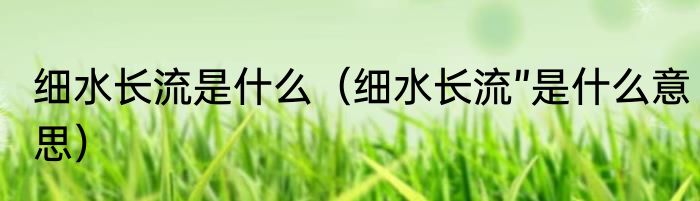 细水长流是什么（细水长流”是什么意思）