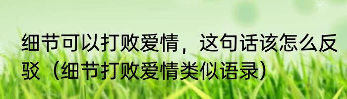 细节可以打败爱情，这句话该怎么反驳（细节打败爱情类似语录）