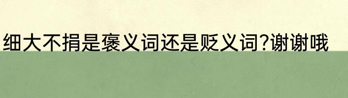 细大不捐是褒义词还是贬义词?谢谢哦
