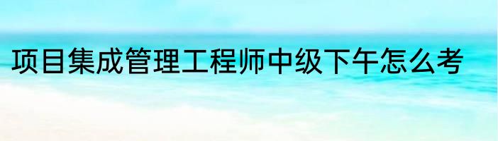 项目集成管理工程师中级下午怎么考