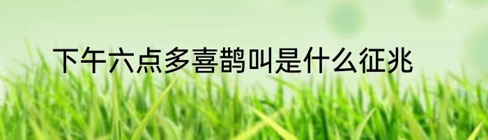 下午六点多喜鹊叫是什么征兆