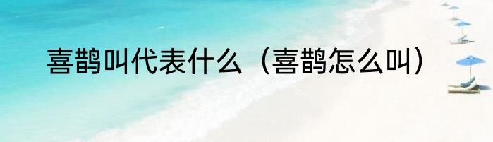 喜鹊叫代表什么（喜鹊怎么叫）